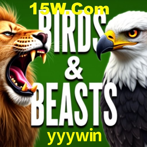 Apostas Esportivas na yyywin: Um Guia Completo
